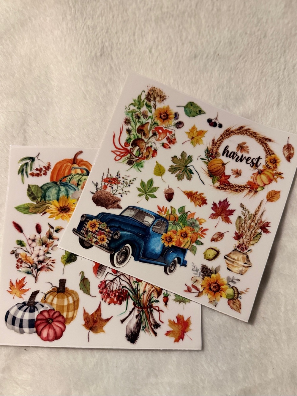Autumn Harvest Pumpkin & Foliage Rub on Transfers